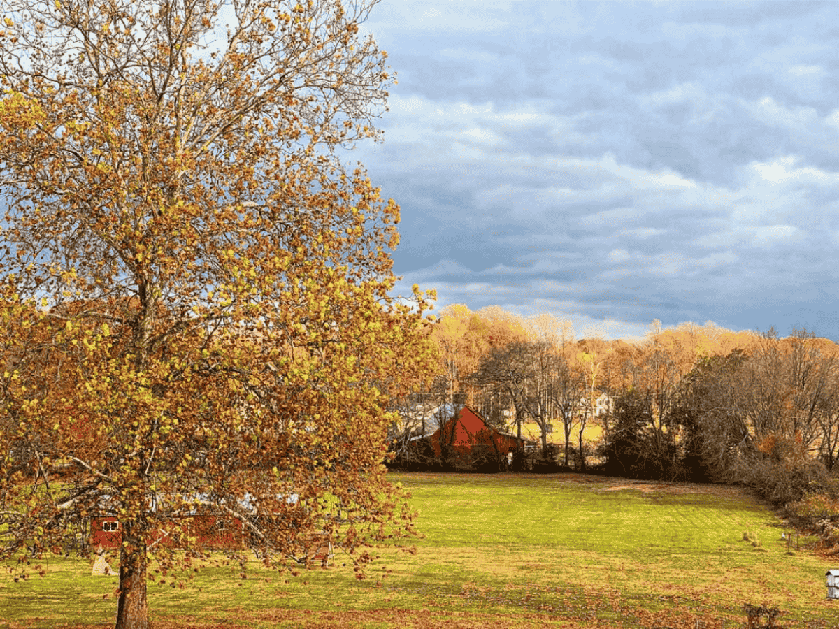 Sunset over a back meadow in late afternoon with a very cloudy sky.
