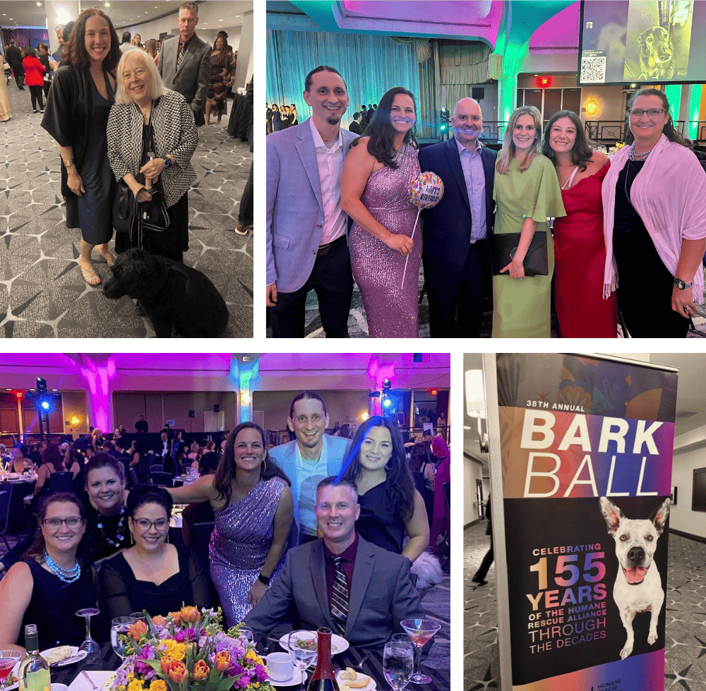 Four pictures of Avalonians and friends in their gala finest, enjoying the 38th annual Bark Ball.