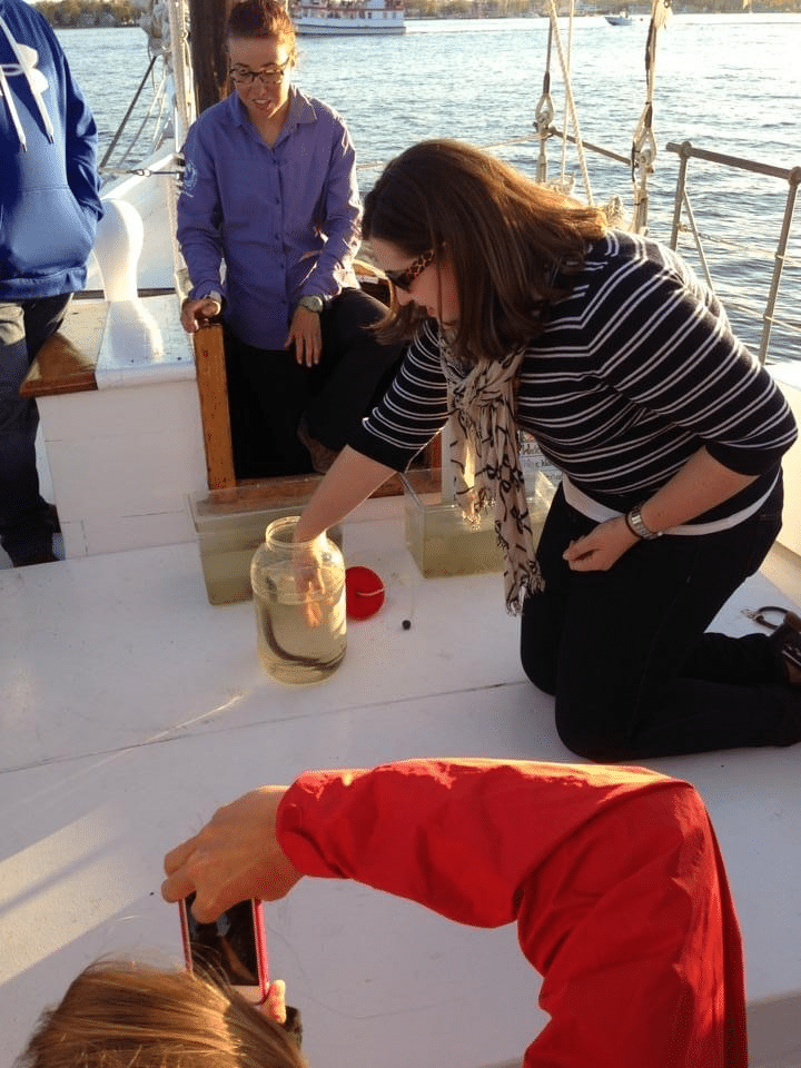 A person on a boat reaching into a glass jar containing a baby eel.