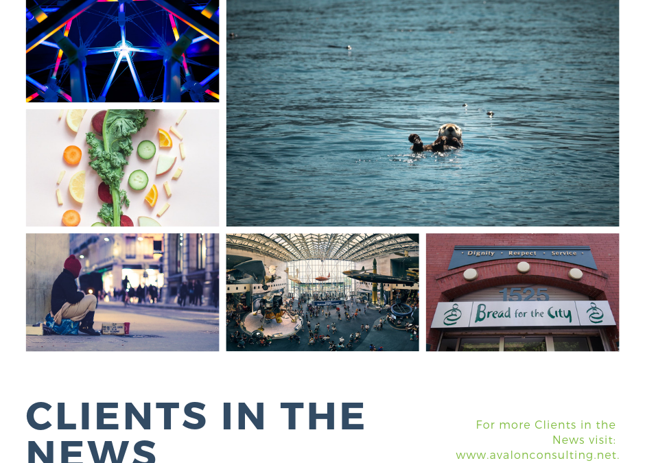 Clients in the News–February 2019