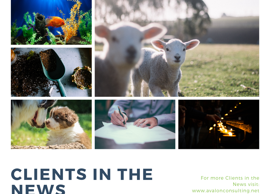 Clients in the News- May 2019