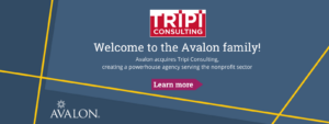 Avalon Acquires Tripi