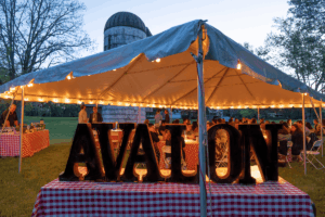 The Avalon lights viewed from outside the tent.
