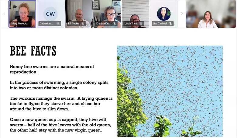 A slide from Mary’s backyard bee presentation.