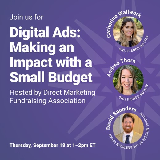 Flyer for the DMFA webinar “Digital Ads: Making an Impact with a Small Budget”